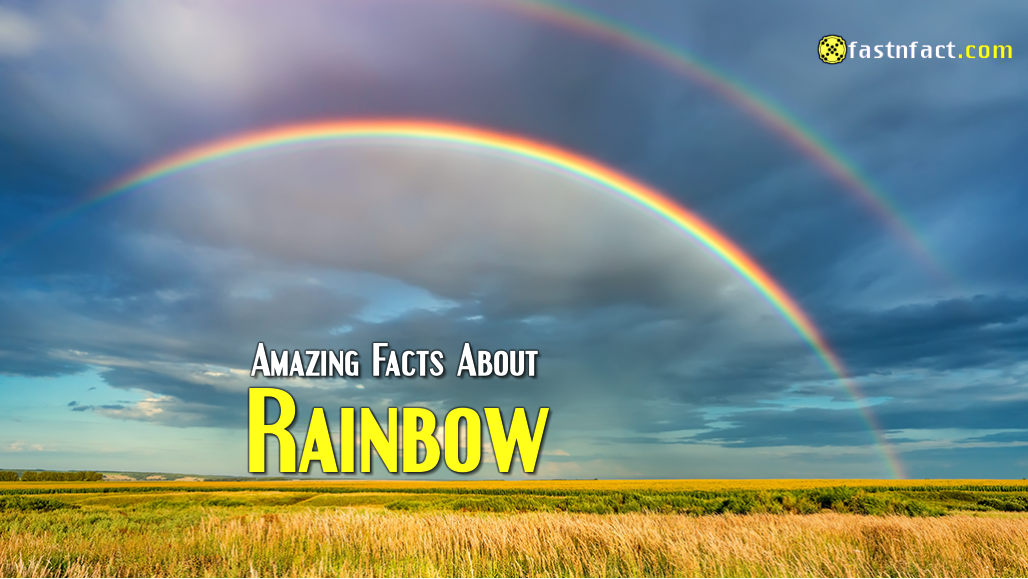 21 Interesting Facts About Rainbow