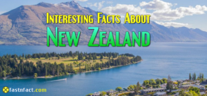 http://40%20Interesting%20Facts%20About%20New%20Zealand