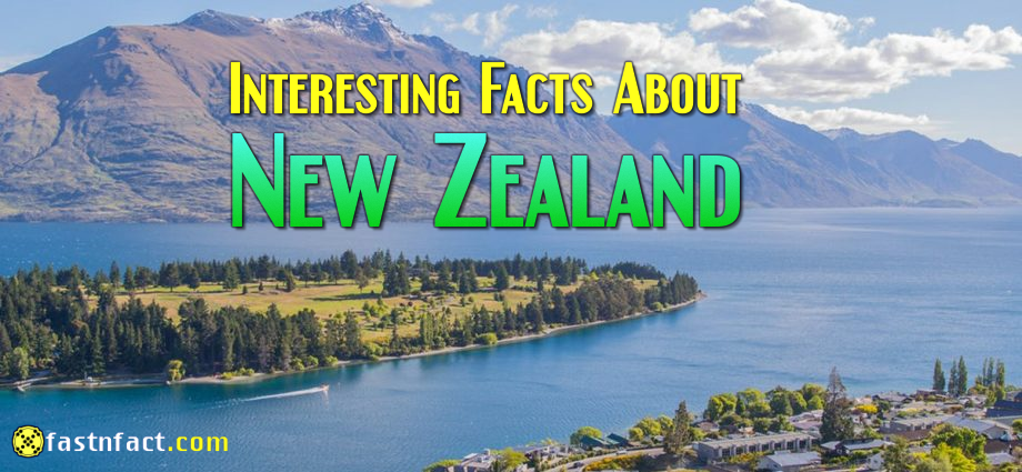 40 Interesting Facts About New Zealand