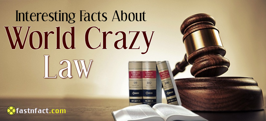 40 Interesting Facts About Crazy Laws