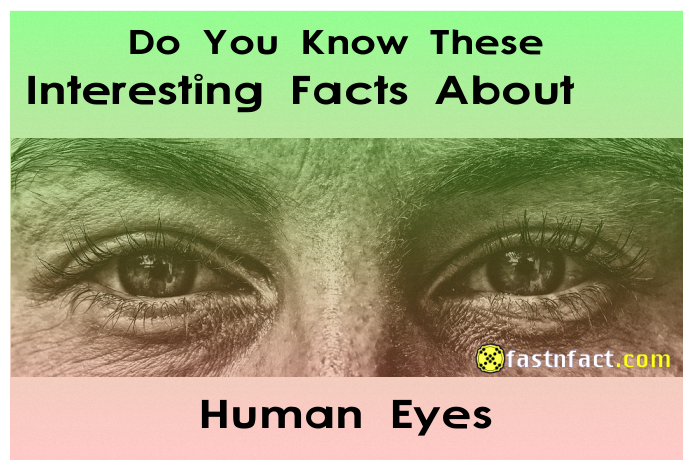 40 Interesting Facts About Human Eyes