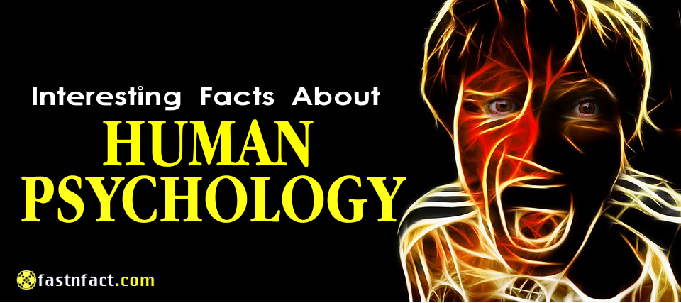 40 Interesting Facts About Human Psychology