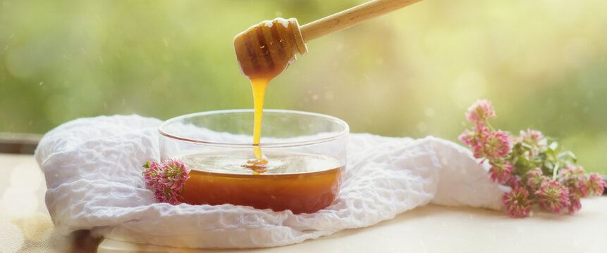 Honey and Your Immune System: 6 Health Benefits of Honey